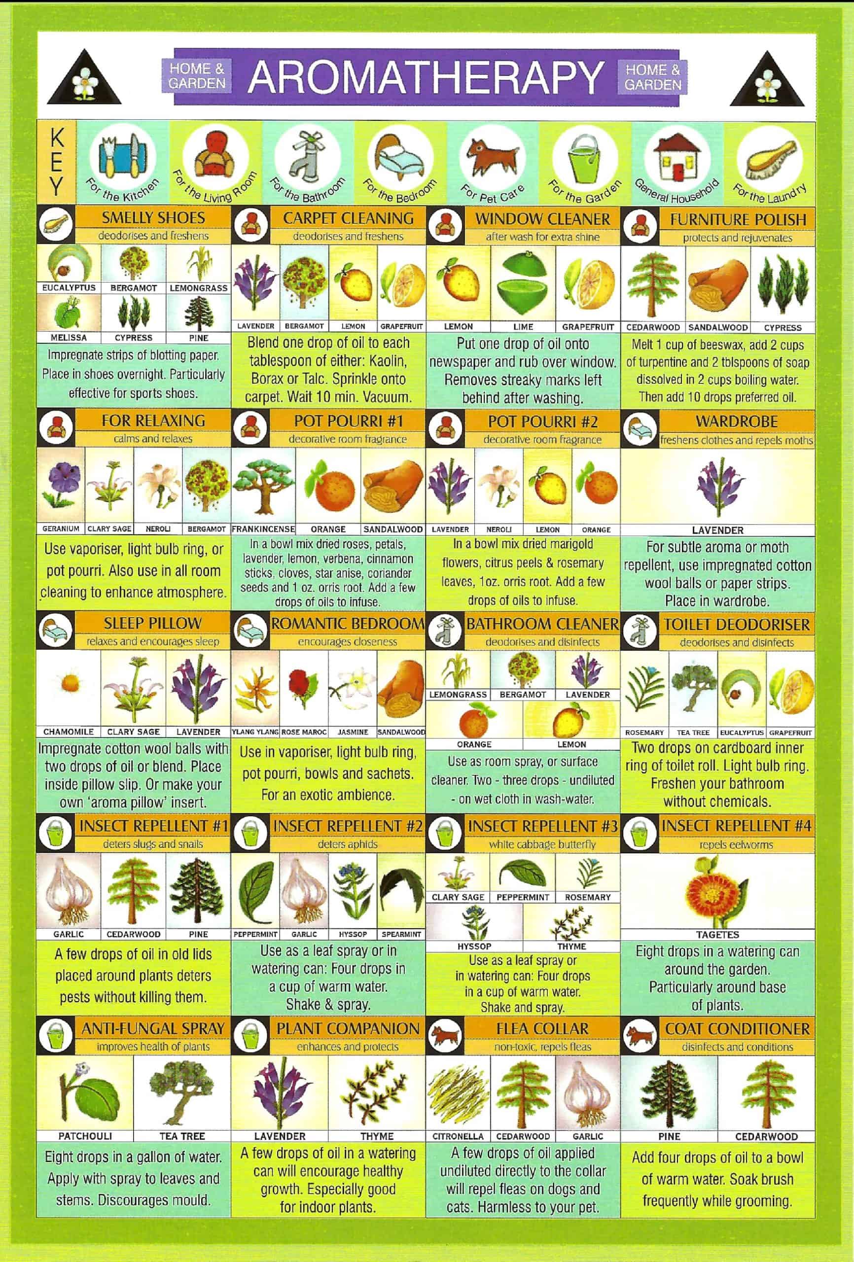 Aromatherapy Home and Garden Use Knowledge Mini Chart