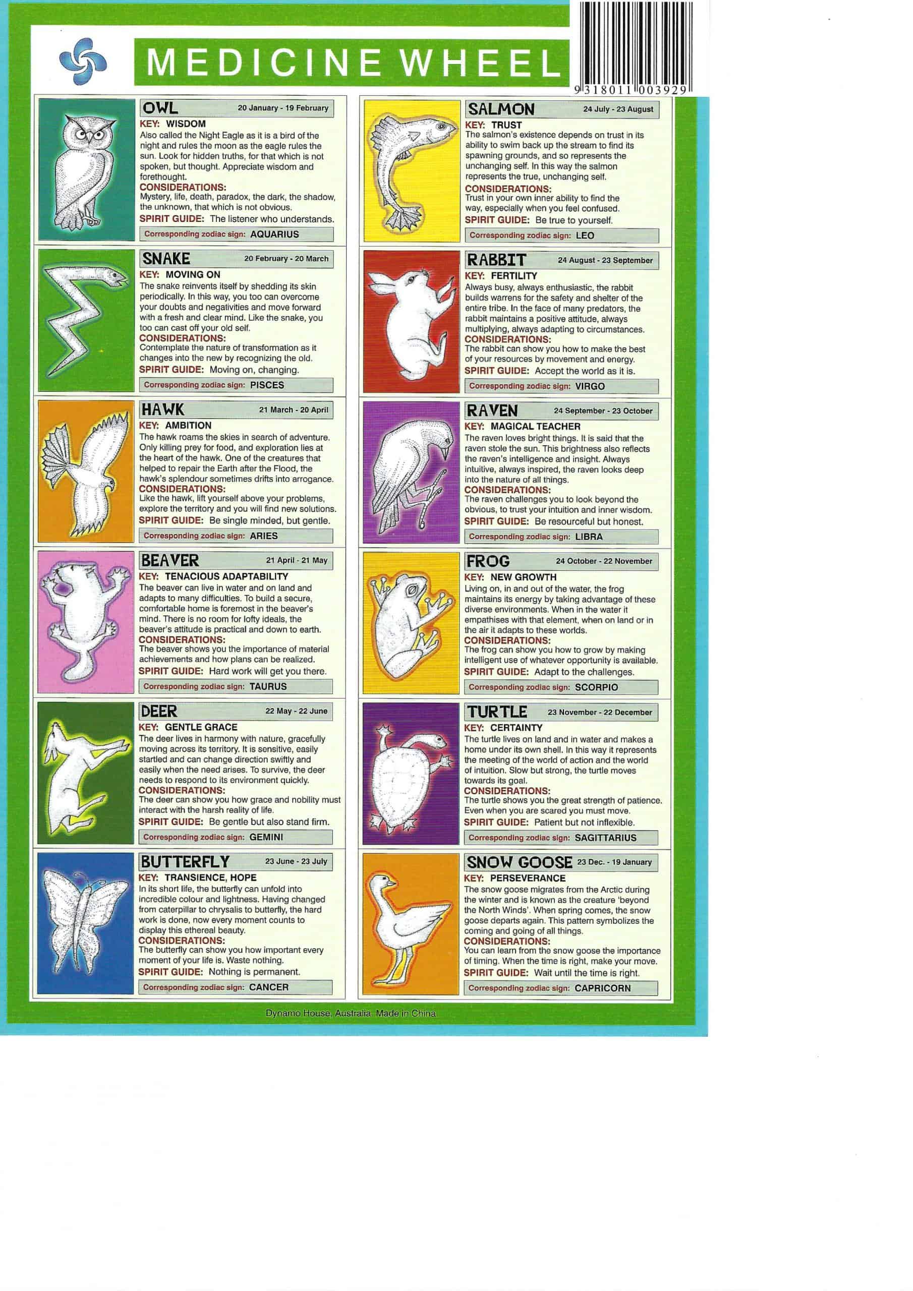 Medicine Wheel Knowledge Mini Chart